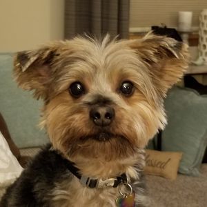 Meet your Posher, Brenda